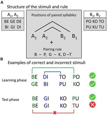 artificial grammar learning List of Frontiers open access articles